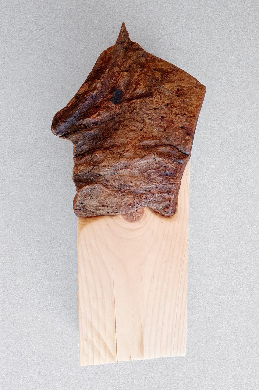 #39 Skin (Ansicht vorne)