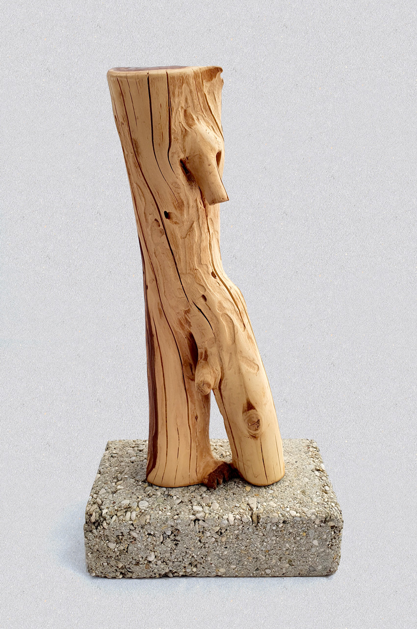 #46 Bunt- Ansicht männlich