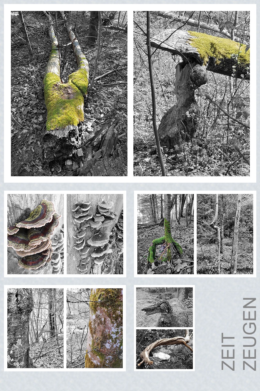 #76 ZeitZeugen – Spuren der Zeit